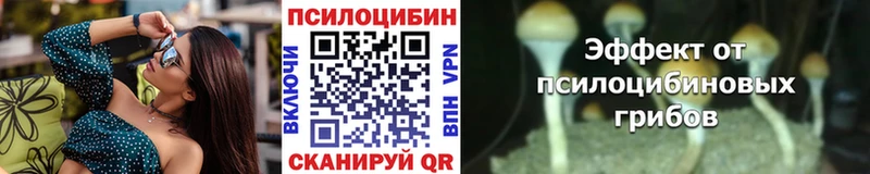 цена наркотик  Фёдоровский  Псилоцибиновые грибы GOLDEN TEACHER 